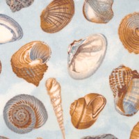 Shore Thing - Tossed Seashells on Blue