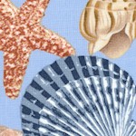 Neptunes Dream - Tossed Seashells on Blue - LTD. YARDAGE AVAILABLE