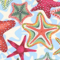 Treasure Island - Starfish by Philip Jacobs for Snow Leopard Designs