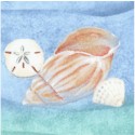 Sea of Tranquility - Seashells on Ocean by Samantha Rae