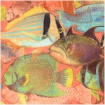 Tropical Dreams - Schools of Marine Fish in Peach by Kathleen Francour