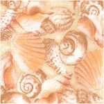 Tropical Dreams - Packed Tonal Seashells by Kathleen Francour