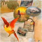 Tropical Dreams - Island Wildlife and Maps by Kathleen Francour