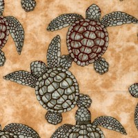 A Shore Thing - Baby Sea Turtles by Dan Morris