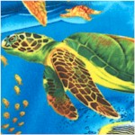 Real Turtle Ocean Scenes