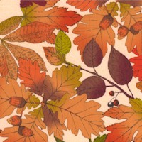 FLO-autumn-AA537