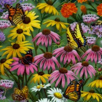 Butterfly Meadow