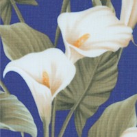 Colorido Calla Lily by Melissa Lowry