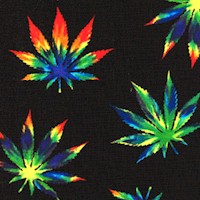 Blend - Psychedelic Cannabis Leaves on Black by Whistler Studios