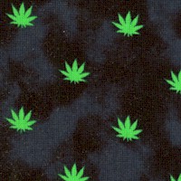 Blend -  Up in Smoke - Small Scale Cannabis Leaves on Black by Whistler Studios