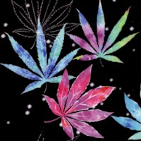 Cannabis Tie Dye on Black