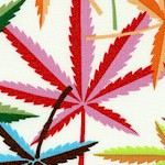 Herb - Colorful Cannabis Leaves on Ivory