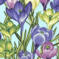 Botanica II Spring - Beautiful Crocuses #2 by Color Principle