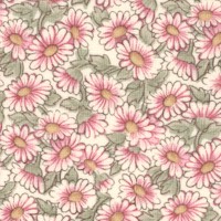 FLO-daisies-BB269