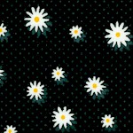 FLO-daisy-W589