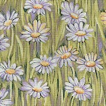 Sweet Dreams - Field of Daisies