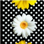 Oops A Daisy - Vertical Stripe Daisies on Polka Dots by Greta Lynn