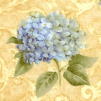 Classic Garden - Tossed Hydrangeas on Yellow Texture by Cynthia Coulter