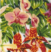 Belize - Tropical Floral by Sentimental Studios