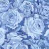 Packed Miniature Roses in Blue