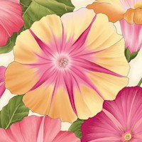 Flower Festival - Morning Glories in Peach/Ivory