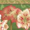 Gentle Grace by Dannhui Nai - Amaryllis Double Border - 58 Inches Wide