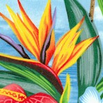 Tropical Flowers and Palm Trees