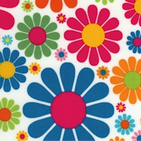 Every Iota - Retro Colorful Daisies on White