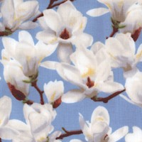 Fresh Market Flowers 2 - Elegant Magnolias