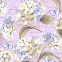 Heavenly Hydrangeas on Lilac by Sue Zipkin