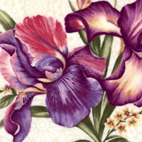 Irresistable Iris - Tossed Blooms on Cream
