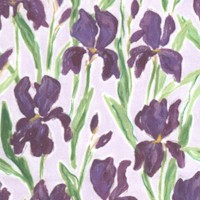 Mardi Gras Parade - Field of Irises by Caitlin Wallace Rowland