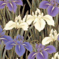 Serenity II - Gilded Field of Irises on Black