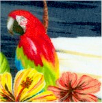 Isla - Beautiful Parrots and Hibiscus #1