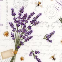 Lavender Market 3 - Bouquet Toss on Ivory