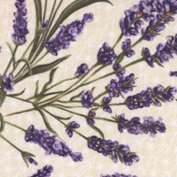 FLO-lavender-R840