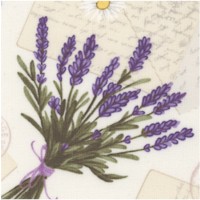 FLO-lavender-Z701