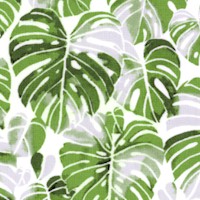 Summer Punch - Monstera Leaves on Ivory