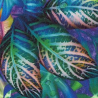 FLO-leaves-R258