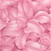 Nature's Tonals III Lillies in Pink