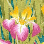 Lotus in Springtime - Gilded Irises #1