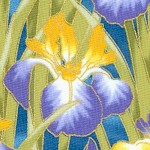 Lotus in Springtime - Gilded Irises #2