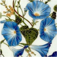 Gilded Climbing Morning Glories on Ivory by Chong-a Hwang