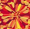 Retro Floral-Look Motion in Red and Orange