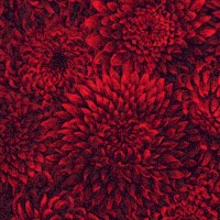 Packed Mums in Red