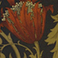 Anemone Floral - Morris & Company by Barbara Brackman