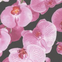 Pink Orchids on Black - SALE! (MINIMUM PURCHASE 1 YARD)