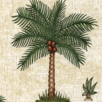 FLO-palmtrees-R648