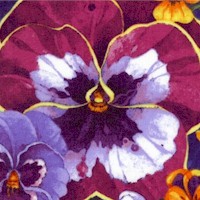 Pansy Prose - Large Pansies by David Galchutt