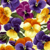 Flowerhouse: Brightly So - Packed Pansies on Ivory by Debbie Beaves